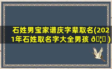 石姓男宝家谱庆字辈取名(2021年石姓取名字大全男孩 🦅 )